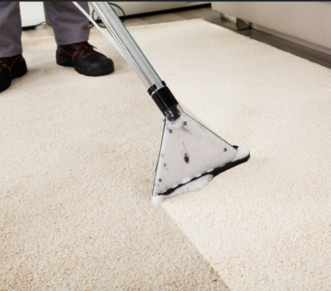 Refresh technician deep cleaning a cream carpet with commercial extraction equipment